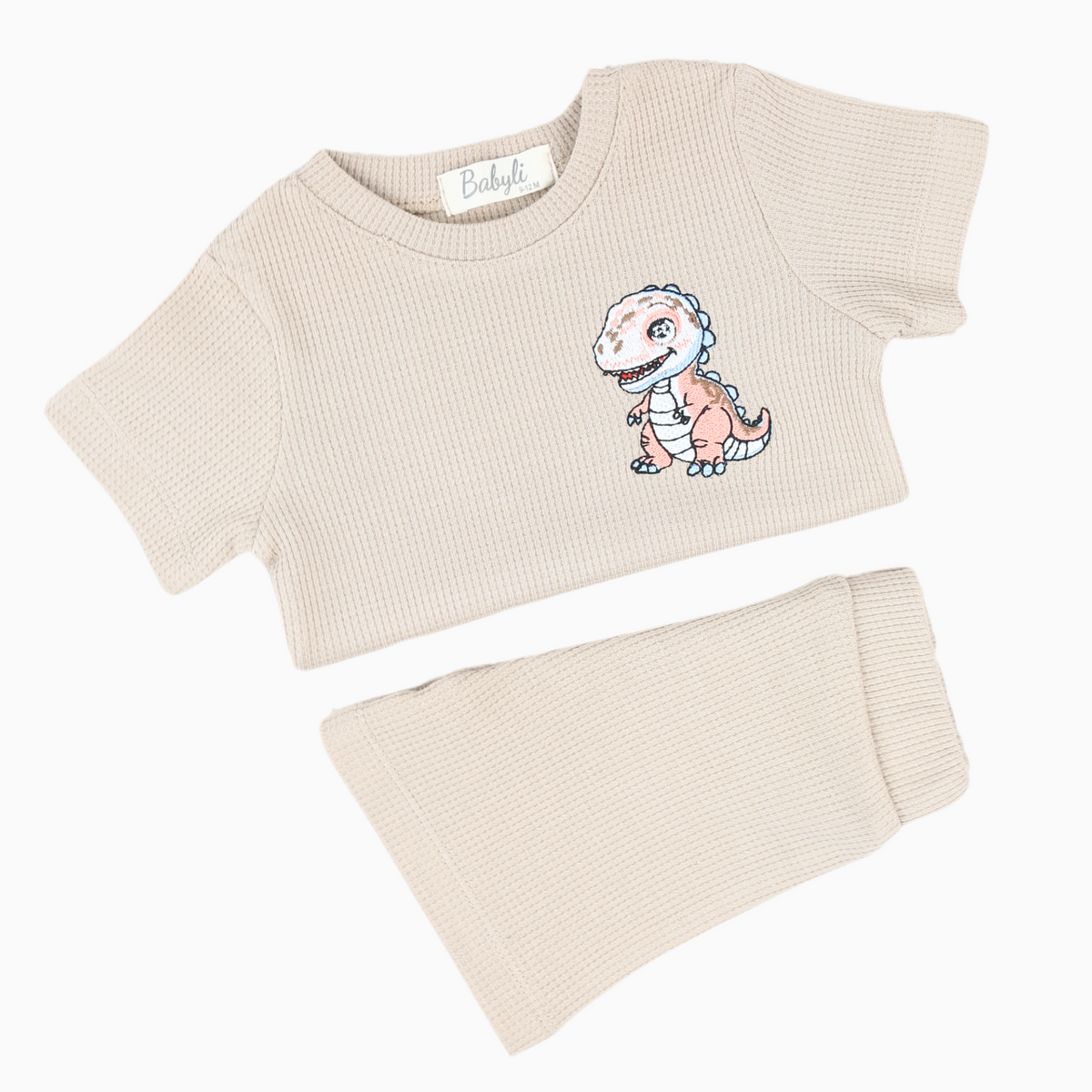 Babyli brown baby and toddler t-shirt and shorts set with dinosaur embroidery, back view